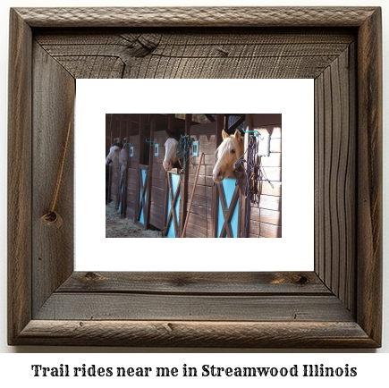 trail rides near me in Streamwood, Illinois